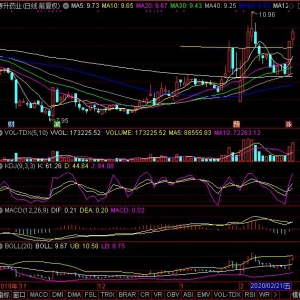 2020年2月21日MACD零軸以上金叉股票精選