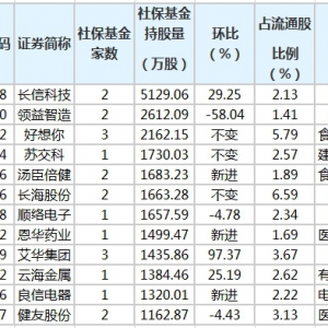 2020年社保基金二季度持有哪些股票 新進股票有哪些