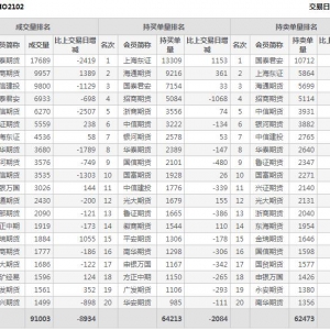 2月2日滬深300股指期權2月份合約（IO2102）持倉一覽表