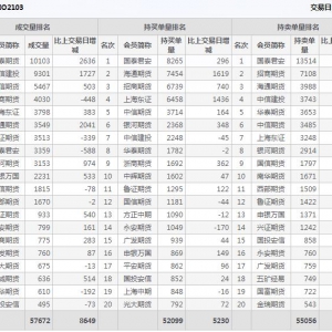 2月8日滬深300股指期權3月份合約（IO2103）持倉一覽表