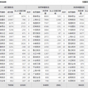 2月9日滬深300股指期權3月份合約（IO2103）持倉一覽表