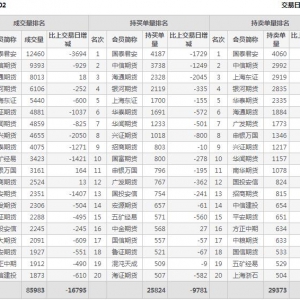 2021年2月10日滬深300股指期貨02月份合約（IF2102）持倉一覽表