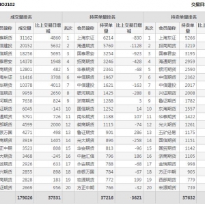 2月10日滬深300股指期權2月份合約（IO2102）持倉一覽表