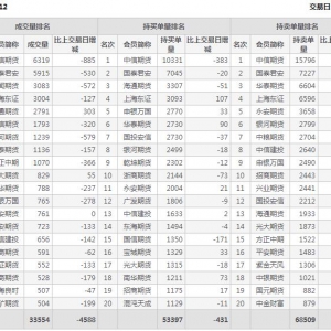 2022年10月27日滬深300股指期貨12月份合約（IF2212）持倉(cāng)一覽表