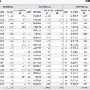 2022年10月27日滬深300股指期貨03月份合約（IF2303）持倉一覽表