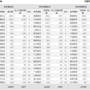 2022年10月28日IC中證500股指期貨06月份合約（IC2306）持倉