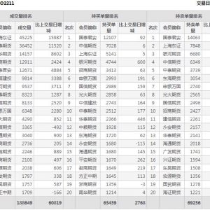 2022年10月28日滬深300股指期權11月份合約（IO2211）持倉一覽表