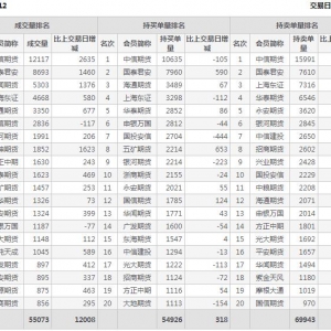 2022年11月1日滬深300股指期貨12月份合約（IF2212）持倉一覽表