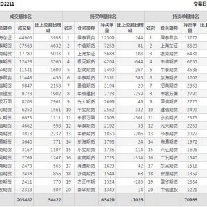 2022年11月1日滬深300股指期權11月份合約（IO2211）持倉一覽表