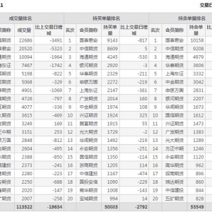 2022年11月2日滬深300股指期貨11月份合約（IF2211）持倉一覽表