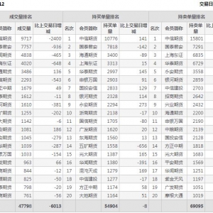 2022年11月2日滬深300股指期貨12月份合約（IF2212）持倉一覽表