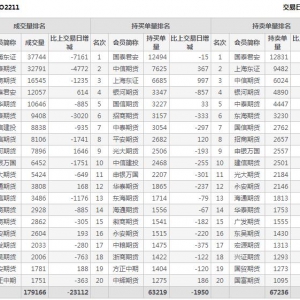 2022年11月2日滬深300股指期權11月份合約（IO2211）持倉一覽表