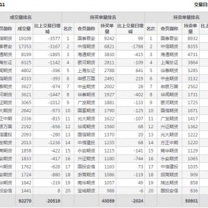 2022年11月3日滬深300股指期貨11月份合約（IF2211）持倉一覽表