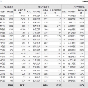 2022年11月3日滬深300股指期貨12月份合約（IF2212）持倉一覽表