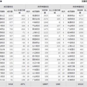 2022年11月3日IC中證500股指期貨06月份合約（IC2306）持倉