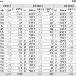 2022年11月3日滬深300股指期權11月份合約（IO2211）持倉一覽表