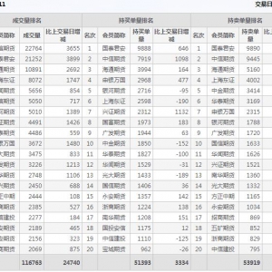 2022年11月4日滬深300股指期貨11月份合約（IF2211）持倉一覽表