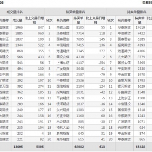 2022年11月4日IC中證500股指期貨03月份合約（IC2303）持倉