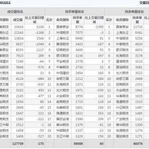 2022年11月9日滬深300股指期權11月份合約（IO2211）持倉一覽表