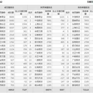 2022年11月10日滬深300股指期貨12月份合約（IF2212）持倉一覽表