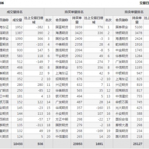 2022年11月10日IC中證500股指期貨06月份合約（IC2306）持倉