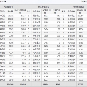 2022年11月10日滬深300股指期權(quán)11月份合約（IO2211）持倉一覽表