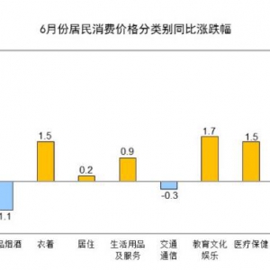 2024年6月份居民消費(fèi)價(jià)格（CPI）主要數(shù)據(jù)