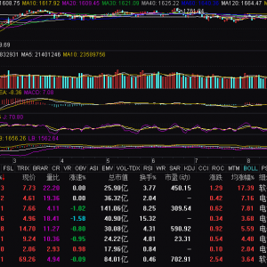 智能電網(wǎng)概念震蕩走強(qiáng) 金冠股份漲超15%