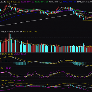 石油板塊震蕩走強(qiáng) 中國海油漲近3%