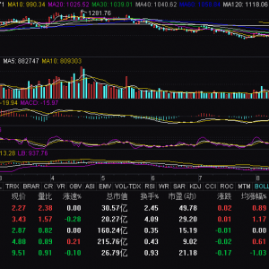 油氣股午后異動拉升 準(zhǔn)油股份漲停