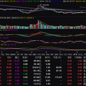 房地產(chǎn)板塊震蕩走高 電子城漲超8%