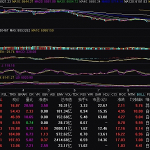 白酒股再度走強 貴州茅臺漲近5%收復1600元關口