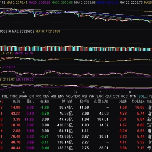 光伏概念異動拉升 福萊特漲停