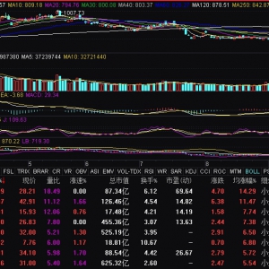 有色金屬板塊異動拉升 寒銳鈷業、華友鈷業漲停