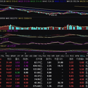 CXO概念震蕩走強 昭衍新藥、雙成藥業(yè)漲停