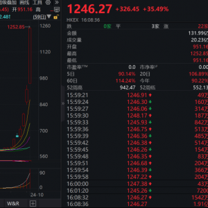 申萬宏源香港漲206%領(lǐng)漲港股