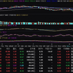 煤炭板塊震蕩走高 中國神華漲超4%