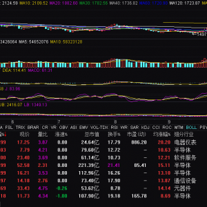 衛星導航概念震蕩走強 星宸科技等漲停