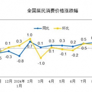 2024年10月全國居民消費價格（CPI）同比上漲0.3%